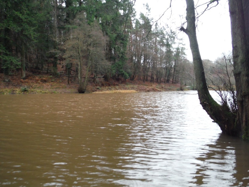 A pool full of mud